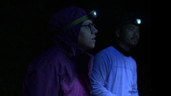 Nocturnes (2024)