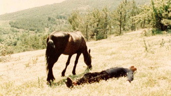 Balamos media image