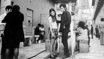 The Other Virginity (1975)