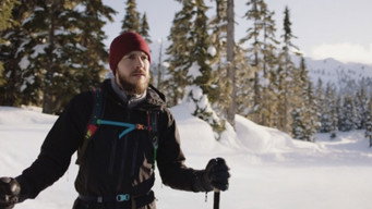 Snowshoe media image