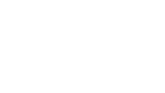 Bad Fish logo