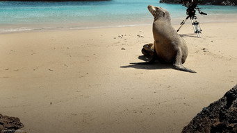 Still 2 from Guardians of the Galapagos