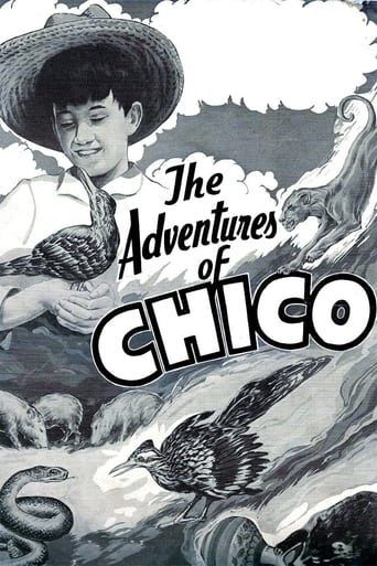 Poster för The Adventures of Chico