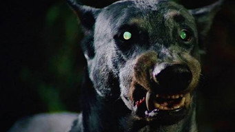 Devil Dog: The Hound of Hell (1978)