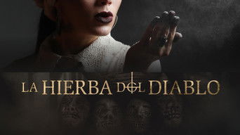 Galeria 1 - La Hierba del Diablo