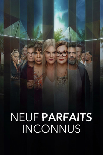 Nine Perfect Strangers — affiche alternative