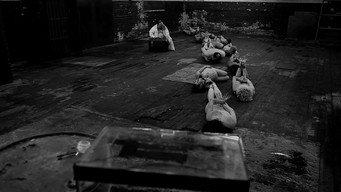 The Human Centipede 2 (Full Sequence) backdrop 2