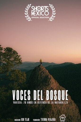 Voces Del Bosque poster