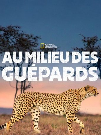 Au milieu des guépards