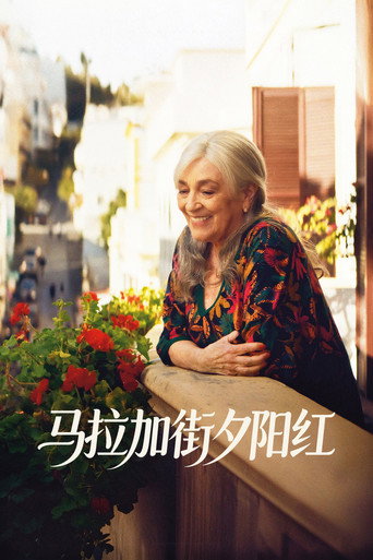马拉加街夕阳红