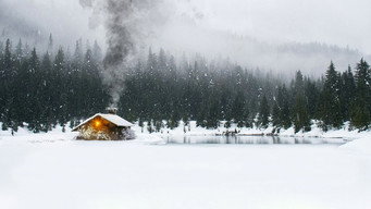 #18 SHTF