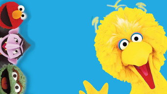 #11 Follow That Bird