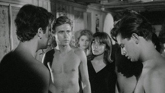 The Terrace (1963)