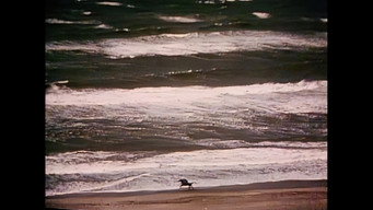 Medea (1988)