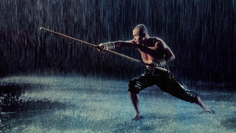 Galeria 1 - Las 36 cámaras de Shaolin