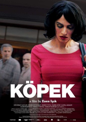 Poster of Köpek