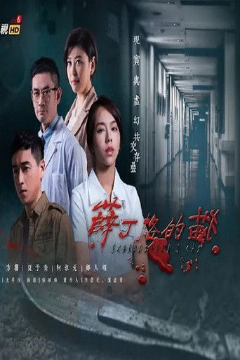 薛丁格的猫 poster