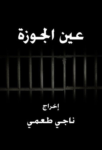 Ain El Jawze
