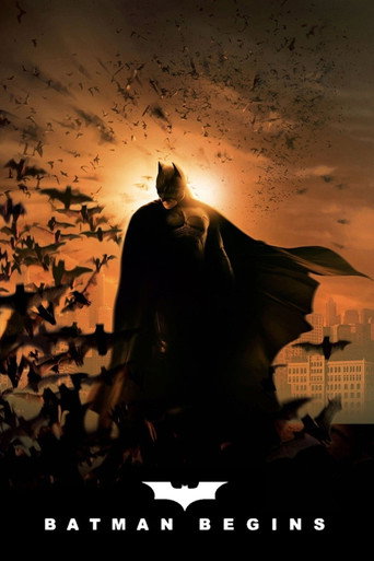 Poster 243