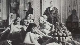 #4 Abdullah's Harem
