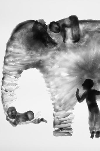 Elephant (2021)