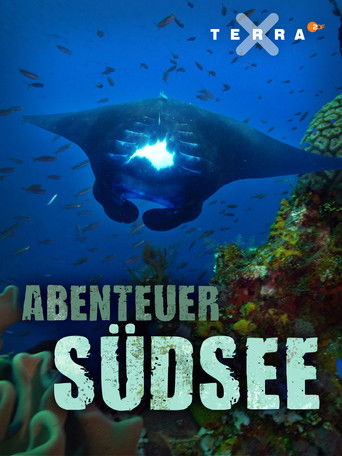 Abenteuer Südsee poster