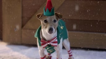 Galeria 3 - Navidad con los Buddies: En busca de Santa Can