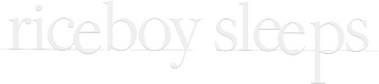 Riceboy Sleeps logo