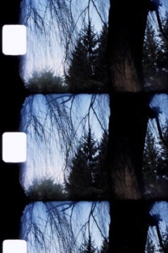 Jardin (1990)