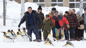 #1 Asahiyama Zoo Story: Penguins in the Sky