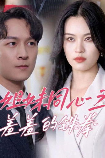 姐妹同心之羞羞的铁拳 poster