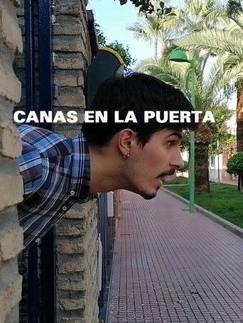 The Door With Grey Hair