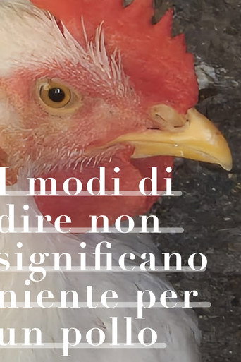I modi di dire non significano niente per un pollo