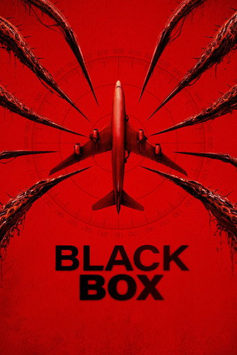 Black Box (Flight 298)