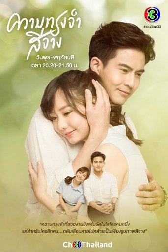 The Faded Memory (Fade Away): Season 1
