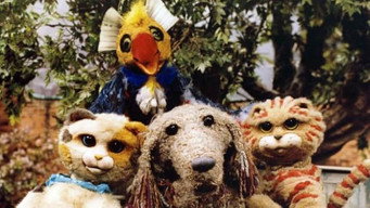 Pacha et les chats (1991)