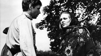 Трясовина (1978)