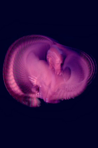 Seven Elegies poster