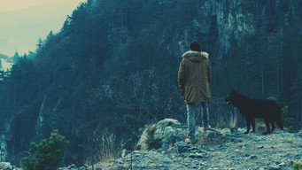Dogs Die Alone (2018)