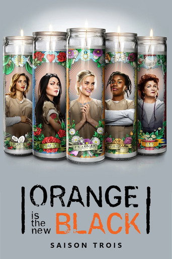 Orange Is the New Black - S3 - Épisode 2 : Punaises et autres désagréments - Affiche