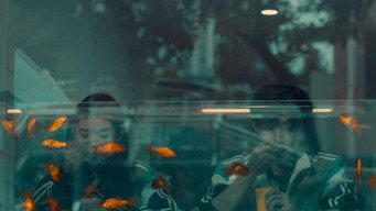 #20 Перші приморозки