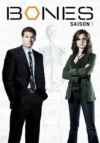 Bones - S1 - Épisode 17 : Face au désert - Affiche