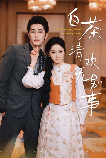 白茶清欢无别事 poster