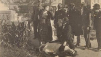 Escena 1 de La soñadora