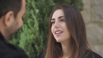 Episode 26 — Episode 26