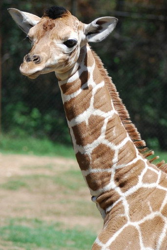 Me at the zoo