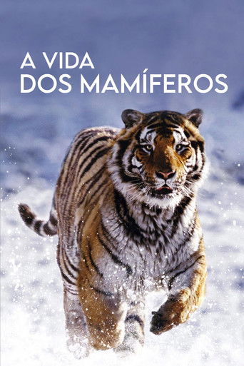 A Vida dos Mamíferos