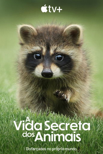 Cena de A Vida Secreta dos Animais