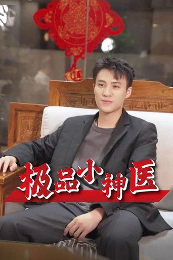 极品小神医 poster