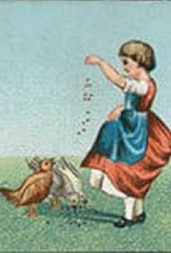The Chickens' Meal